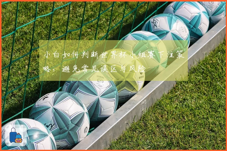 小白如何判断世界杯小组赛下注策略，避免常见误区与风险