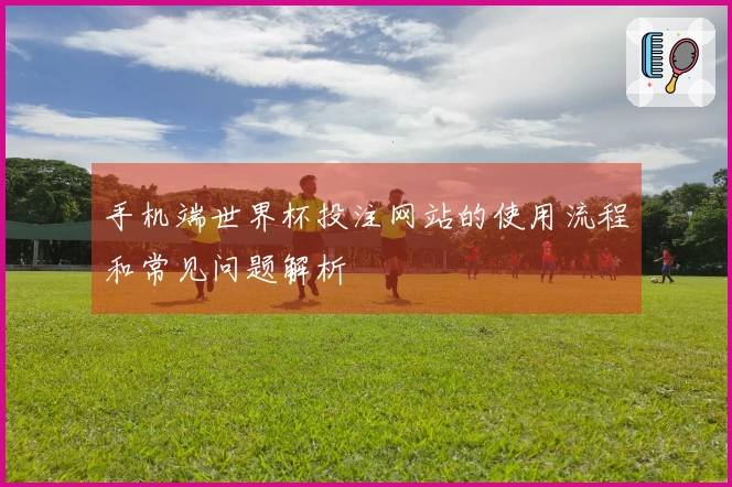 手机端世界杯投注网站的使用流程和常见问题解析