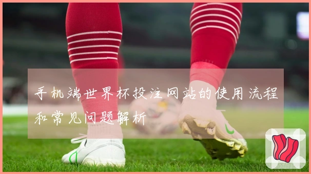 手机端世界杯投注网站的使用流程和常见问题解析