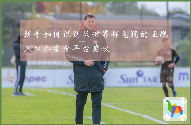 新手如何识别买世界杯竞猜的正规入口和安全平台建议
